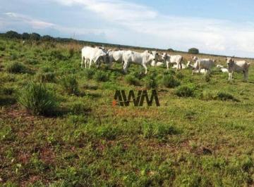 82486e806a24f8dc8b4cea079869651a47d435a6 · Fazenda à venda, 79279200 m² por R$ 200.000.000,00 - Zona Rural - Duerê/TO