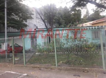 00ea280de3c248f2dfddff9b126a2b20.jpg · Terreno