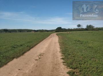 Rural , Miranda · Fazenda na Região de Miranda – MS com 18.000 hect
