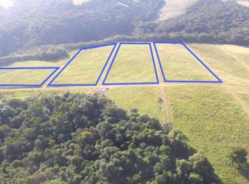 Comercial · 57575m² · Loteamento Pronto – Oportunidade para Investidores em Ponta Grossa