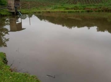 Rural · 33m² · Chácara em Santa Lucia do Piai