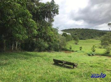 4772_irqH25X292d5FxL34_47726421a0e1a594a.jpg · Sítio - 142.000m2 Sto Amaro - 8055