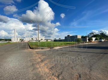 2023/04/7755d6ff88b6b9331df88b37835470d3.jpg · TERRENO - PARQUE DOS BURITIS