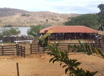 Foto 03 · Fazenda à venda em Araçuaí - MG, com 144 hectares, acesso pela rodovia BR 342 e grande espectro de a