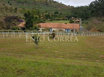 Foto 47 · LINDO HARAS EM SÃO JOSÉ COM 99HA