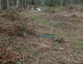 d95fd73406abdfe5d9f3febb6383f5d35402e8d1 · Terreno à venda, 601 m² por R$ 145.000,00 - Parque do Imbui - Teresópolis/RJ