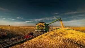 2e799c55da533db613a32c092a084d791184c52c · ÁREA PARA ARRENDAMENTO DE SOJA