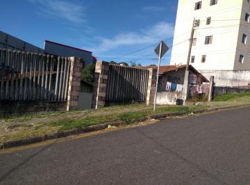 Terreno , Curitiba · 2 terrenos zr4 com 24 metros de testada vendo ou permuto