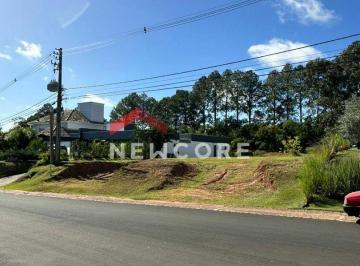 Terreno · 1000m² · 2 Vagas · Lote em Avenida Juca Batista - Belém Novo - Porto Alegre/RS