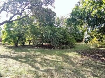 Foto 01 · Terreno, Chácara Recreio Cruzeiro do Sul, Santa Bárbara D'oeste, SP