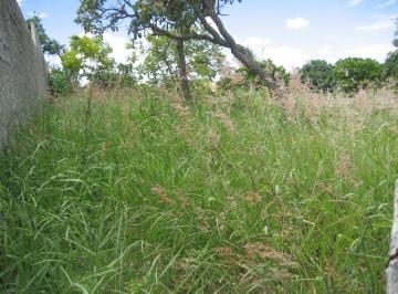 001 · LOTE NA SHIN QL 01 CONJUNTO 8, LAGO NORTE, 1200 m²