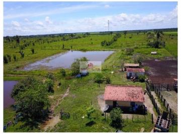 cebde6b14b261efb14469ce139d28aba.jpg · Fazenda com 900 hectares, 350 hectares com capim mombaça