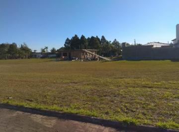 602476.jpg · Terreno - Bairro Arroio Teixeira