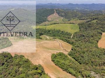 20230612122618297.jpg · Área para Venda em Campo Magro, ROSEIRA DE SANTA RITA