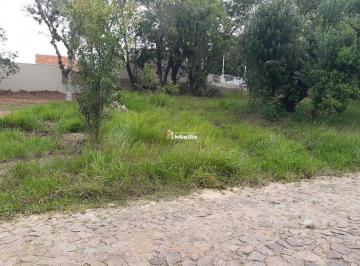 25417637_g.jpg · 
                                Excelente terreno no bairro Ipê ,em Viamão.
                       