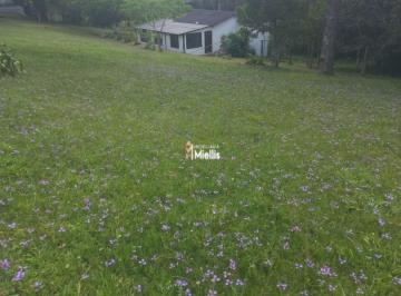 25516373_g.jpg ·
Sitio com 4,5 hectares,Beco do pesqueiro,Viamão