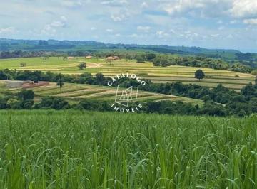 Rural · 145200m² · Rurais à venda - no Centro