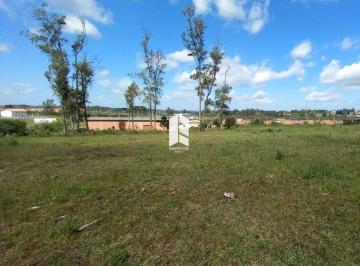 Terreno · 4800m² · Terreno à venda - em Tomazetti