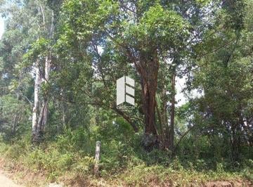 Terreno · 1000m² · Terreno à venda - em Itaara