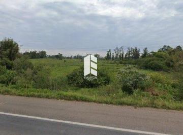 Terreno · 270000m² · Terreno à venda - em Lorenzi