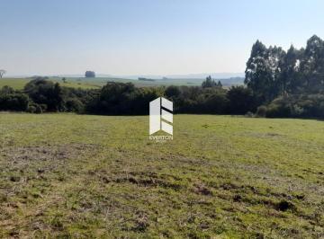 Rural · 8ha · 3 Quartos · 2 Vagas · Rurais à venda - em Dilermando de Aguiar