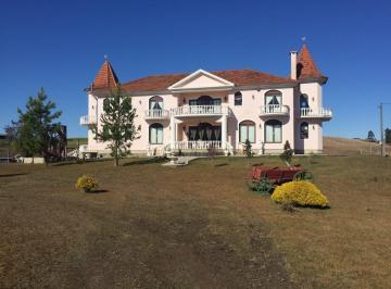 Rural de 4 quartos, São Francisco de Paula · Sitio com 10 Hectares, Casa que mais parece um Castelo em São Francisco de Paula/RS