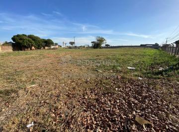 Terreno · 23000m² · Avenida Arthur Nonato Rodovia SP-310