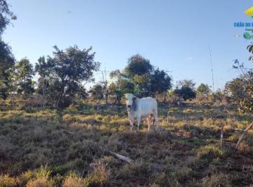 Foto 01 · Chácara 13,3 ha X casa em Campo Grande - Jaraguari, MS, Brasil