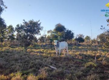 Rural · 100ha · 2 Quartos · Chácara 13,3 ha X casa em Campo Grande - Jaraguari, MS, Brasil