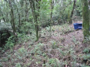 23dbd5cb-d97d-43dd-8c10-b8010a6cef6f.jpg · Terreno, 829.5 m², em Centro