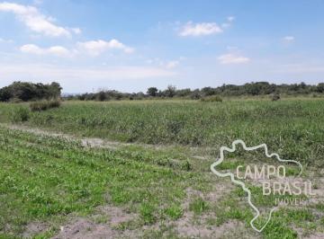 Foto 01 · ÁREA 2,5 ALQUEIRES PLANA EM CAÇAPAVA !