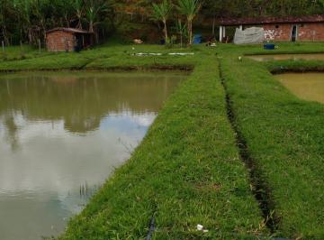 Rural de 2 quartos, Ubaíra · Sítio em Ubaíra - Bahia 15 tarefas - Cacau, Psicultura.