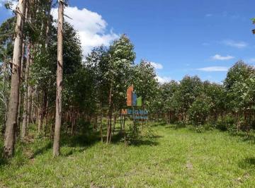 3ff7d4a6713627ec0ceaa222cbddaeb0ec3ee466 · Sítio à venda com 2,65 alqueire (6,42 hectares | 64.000m²) em Itapetininga - SP