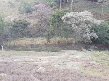 95036_32-1_103813.jpg · OPORTUNIDADE