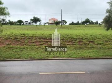 terreno-a-venda-421m-jardim-carvalho-ponta-grossa-pr1683729081824uugzw.jpg · Terreno à venda no Alphaville com 421M², 11 metros de frente,Condomínio fechado - Ponta Grossa - PR