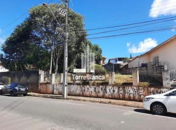 terreno-central1683726304080gjxea.jpg · terreno central
