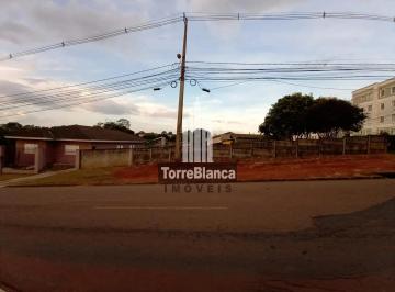 e2c60b030b184cc9905b83e8e46d95011684868387900.jpg · Terreno à venda, Colônia Dona Luíza, Ponta Grossa, PR