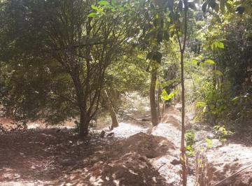 2920_iClQ6ehQ_292064d3edab6c2ce.jpg · Imoveis - no Jardim Vitória