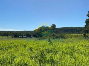 Foto 01 · Fazenda 224 ha terra boa de furna - Rio Verde, MS, Brasil