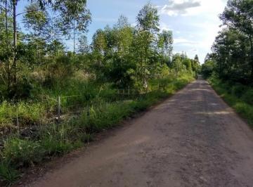 Rural · 38250m² · Ótima Chácara, localização e plana.