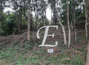 0e819c96ba8fa8d2e1346b5f219ef6dd78207ff5 · Terreno à venda, 405 m² por R$ 351.000,00 - Jardim Peri - São Paulo/SP