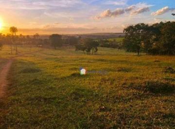 362d703a97287779d140475a9a108e9b215ee6d6 · Linda chácara com 3 alqueires à venda, para produção e lazer por R$ 1.850.000 - Zona Rural - Bela Vi