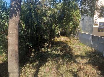 Terreno , Curitiba · Excelente terreno na Rua Solimões- Mercês com 480m2!!!