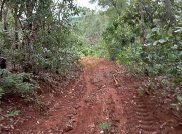 Rural · 1000000ha · 2 Quartos · Fazenda 800 ha pecuária ou eucalipto - Figueirão, MS, Brasil
