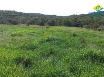 Foto 01 · Fazenda 1250 ha pecuária ou eucalipto - Alcinópolis, MS, Brasil