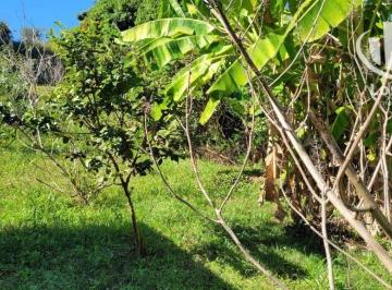2a3b36137537e1c5b344f4b2d8221546c57b8002 · Terreno à venda, 500 m² por R$ 180.000,00 - Chácaras Santo Antonio do Jardim - Jaguariúna/SP