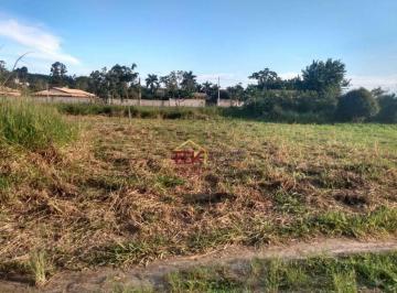 62786b15926e33a66e03e9e19f3c8cbf6608103c · Terreno à venda, 1000 m² por R$ 218.000,00 - Granjas Rurais Reunidas São Judas Tadeu - Taubaté/SP