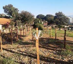 Terreno · 299m² · LOTE À VENDA - SHANGRILÁ - PINDAMONHANGABA - SP
