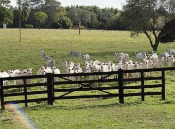 0d455665e9975a7d7d56c996dfbdc0b821df78d0 · Fazenda à venda, 2299000 m² por R$ 40.000.000,00 - Holambra - Avaré/SP