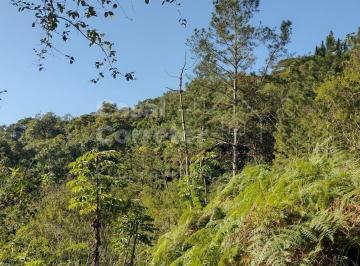 Terreno · 559m² · TERRENO AMPLO DE 559m² EM CONDOMÍNIO